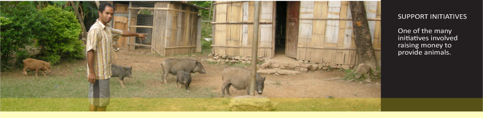 Animals